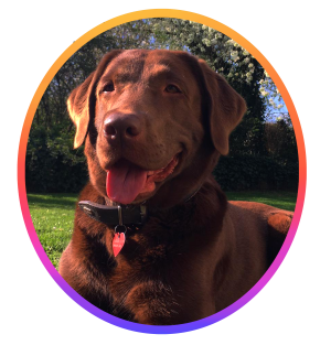 Asha (Custom)